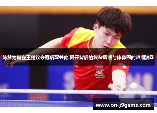 陈梦为何在王楚钦夺冠后取关他 揭开背后的复杂情感与体育圈的暗潮涌动